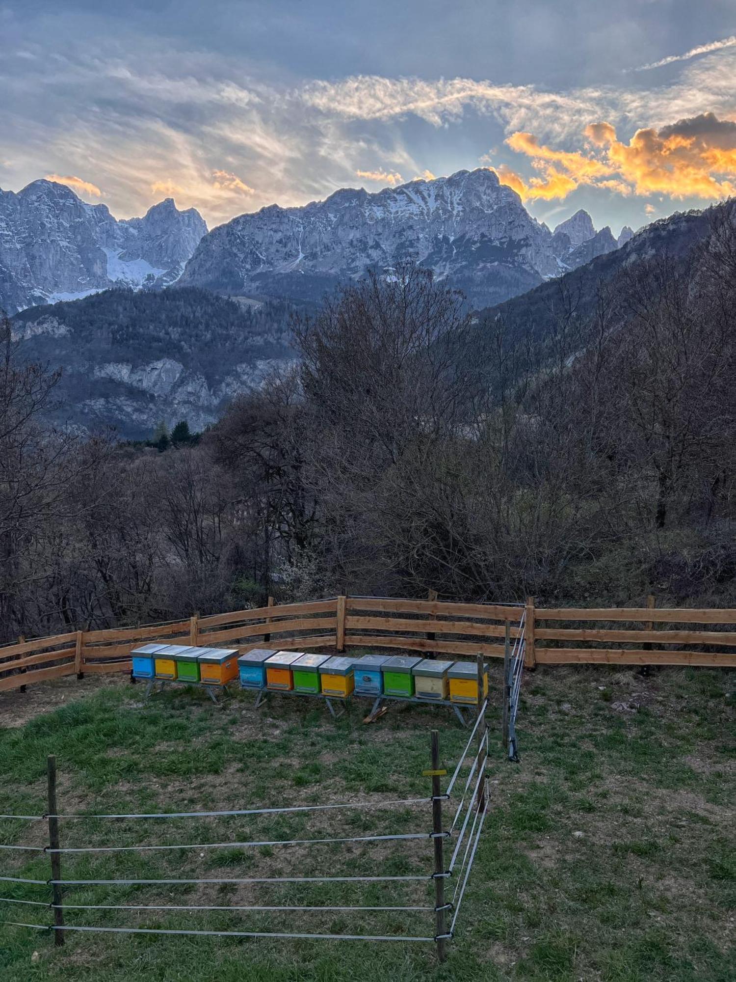 Agriturismo Ai Castioni Villa Molveno Buitenkant foto