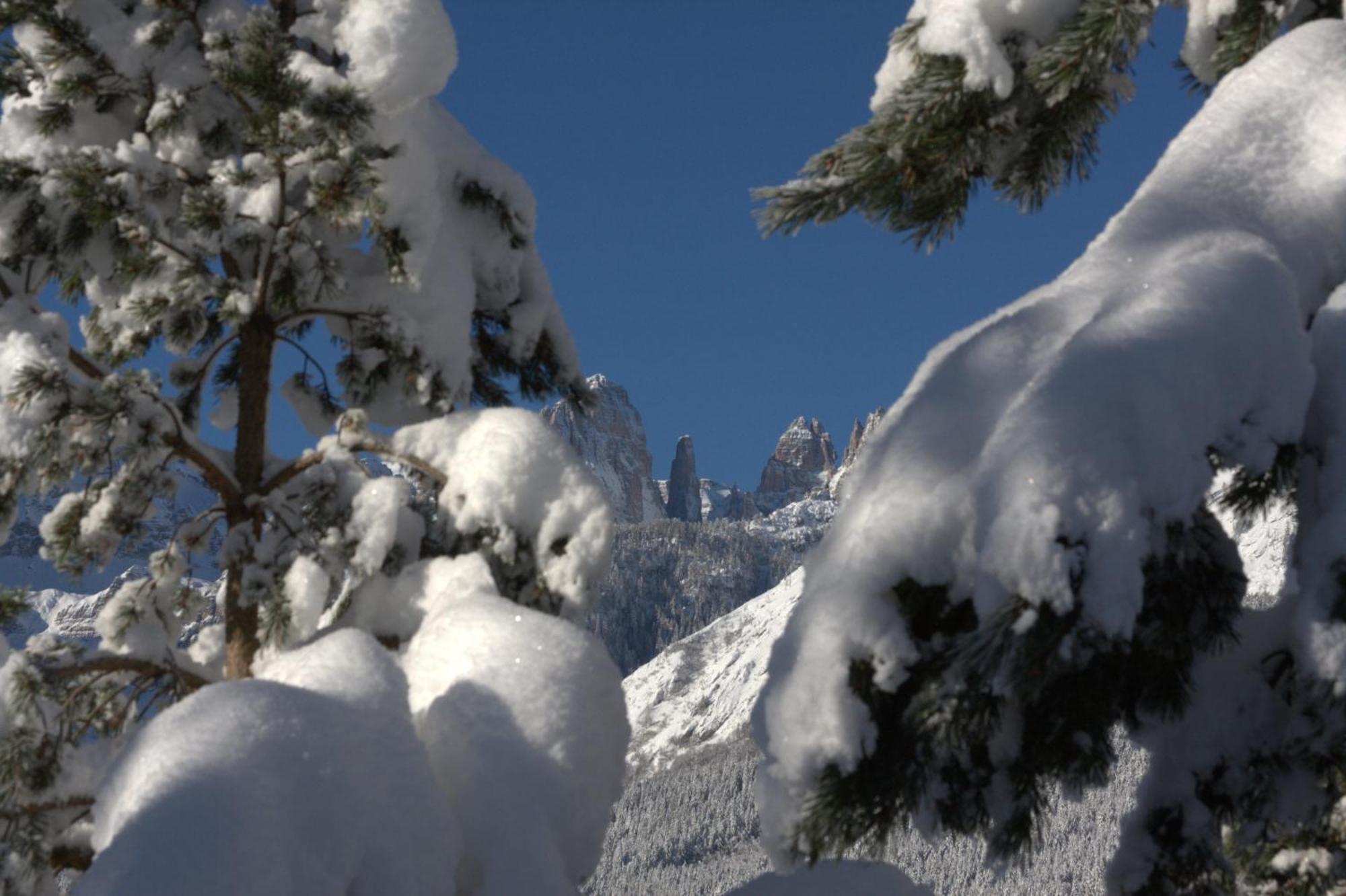 Agriturismo Ai Castioni Molveno Buitenkant foto