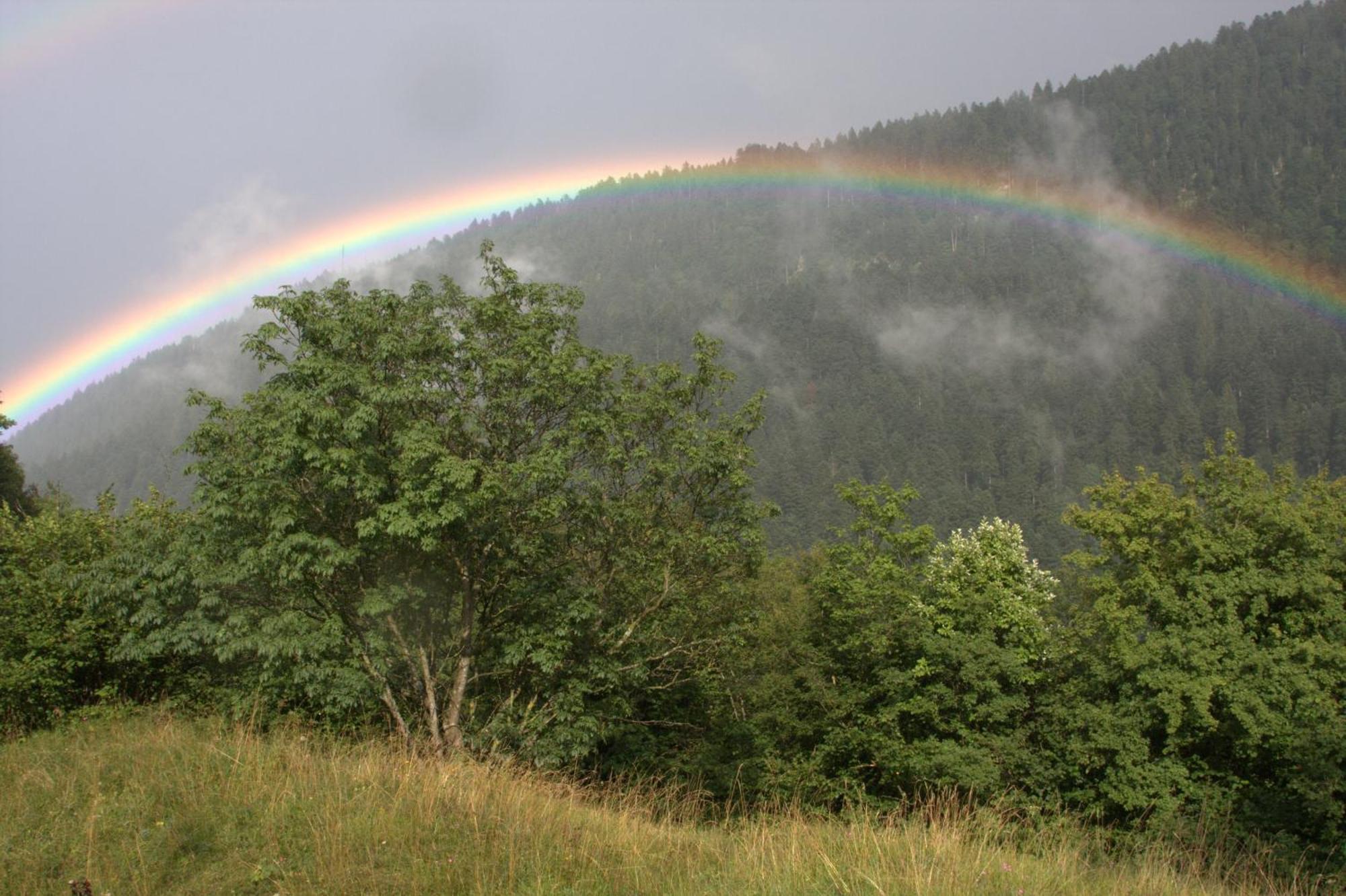 Agriturismo Ai Castioni Molveno Buitenkant foto